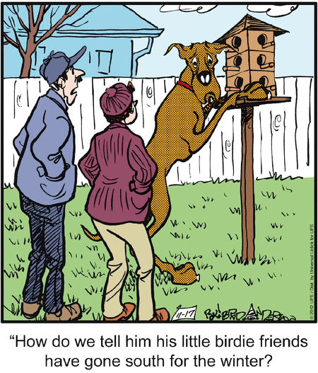 marmaduke